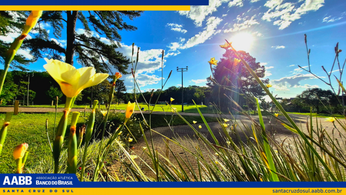 Os cliques que brilharam no Concurso Fotográfico da AABB