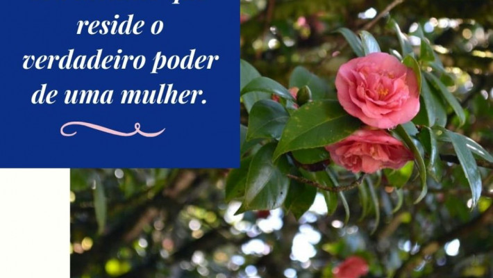 Homenagem da AABB Santa Cruz do Sul pelo Dia Internacional da Mulher!