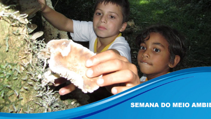 Semana do Meio Ambiente