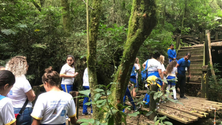 Semana do Meio Ambiente