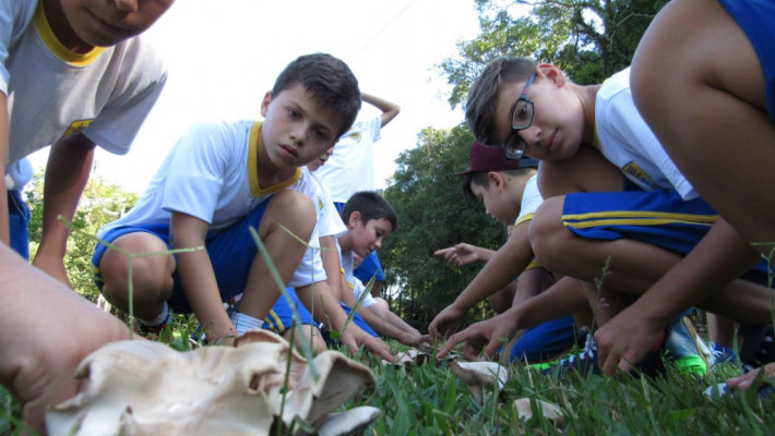 Semana do Meio Ambiente