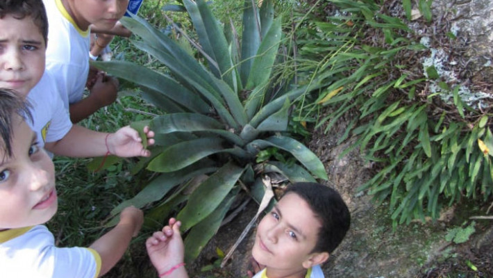 Semana do Meio Ambiente