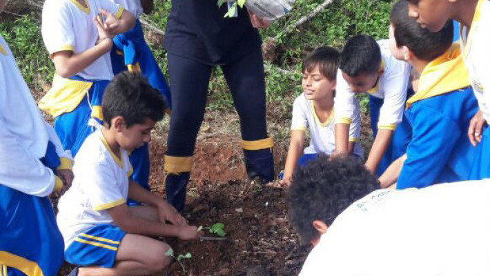 Semana do Meio Ambiente